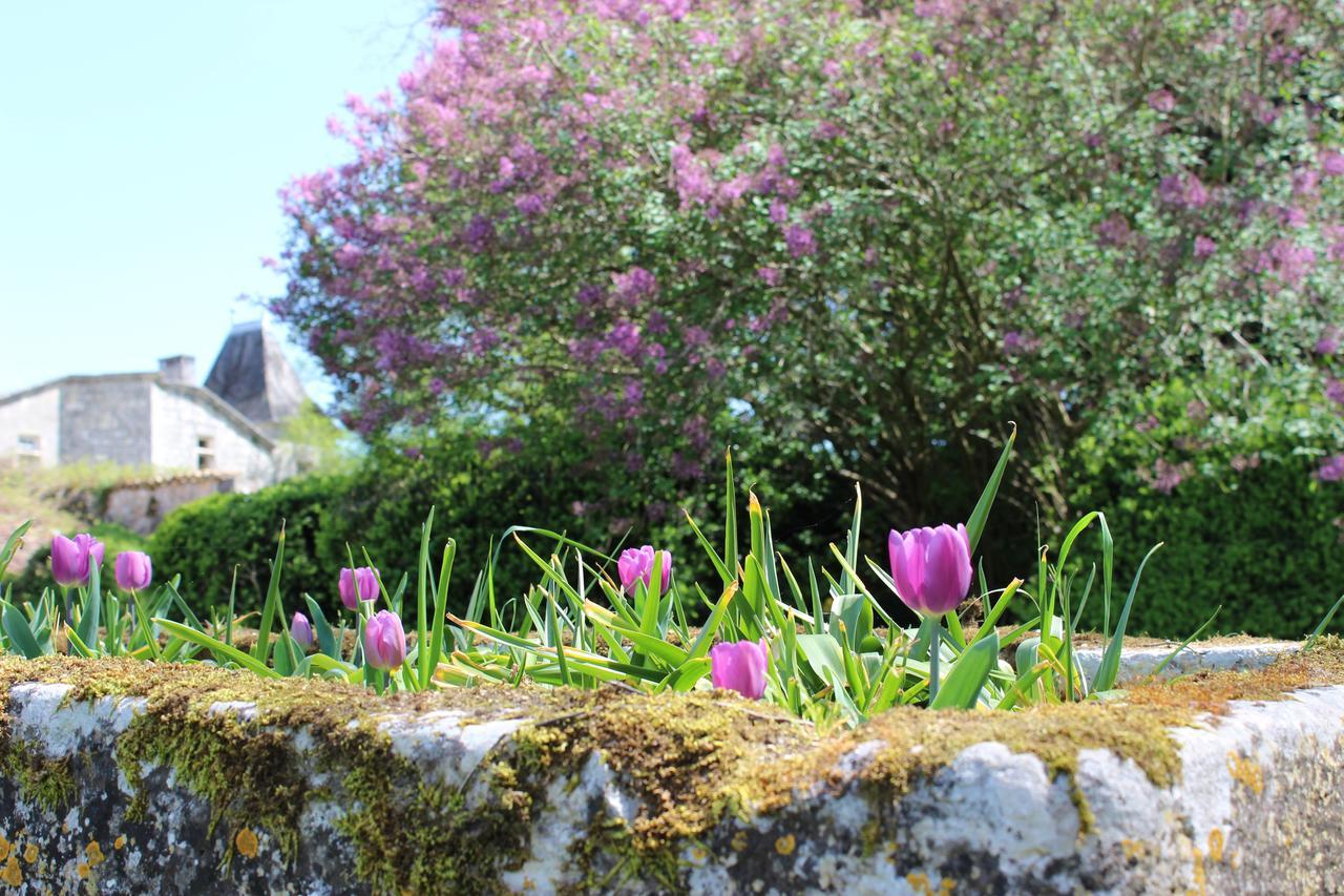 Chateau De Sers Sers  Exteriér fotografie